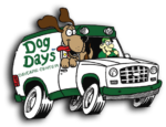 Dog Day Daycare